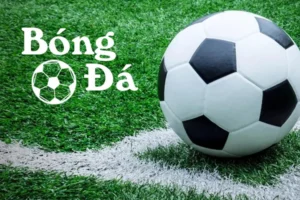 Phân Biệt Bóng Trong Cuộc Và Bóng Ngoài Cuộc Chuẩn Xác Theo Luật Bóng Đá Mới Nhất
