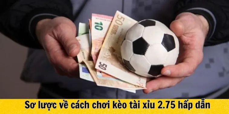 Cách Chơi Kèo 2.75 Hiểu Quả Chính Xác Và Phân Tích Chi Tiết Trong Cá Cược Bóng Đá