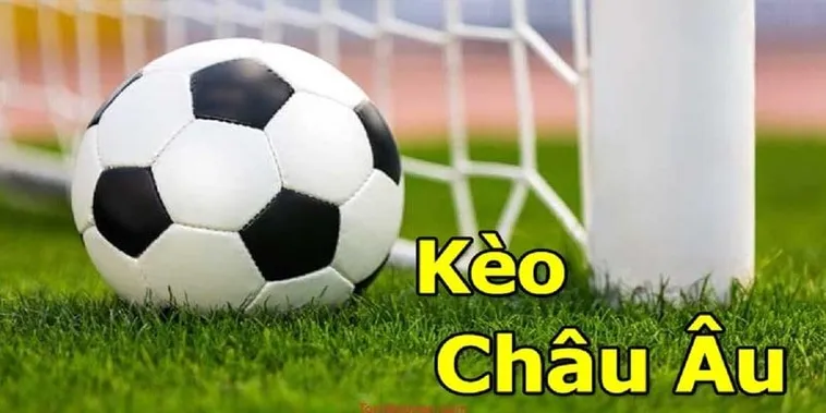 Cách Chơi Kèo Châu Âu Chuẩn Xác Cho Người Mới Và Dân Cá Cược Lâu Năm