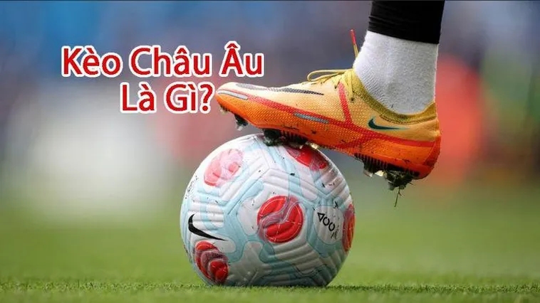 Cách Chơi Kèo Châu Âu Chuẩn Xác Cho Người Mới Và Dân Cá Cược Lâu Năm