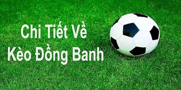 Cách Chơi Kèo Đồng Banh Chuẩn Xác Cho Người Mới Tham Gia Cá Cược