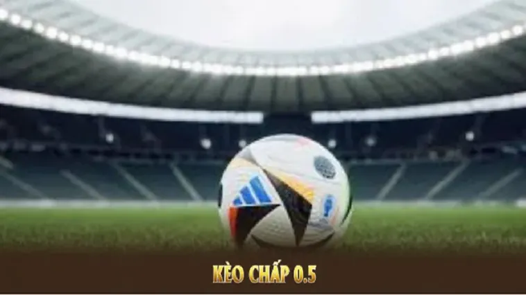 Cách Chơi Kèo Chấp 0.5 Chuẩn Xác Và Hiệu Quả Cho Người Mới Bắt Đầu Cá Cược