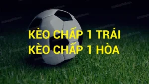 Hướng Dẫn Cách Chơi Kèo Chấp 1 Chuẩn Xác Và Hiểu Rõ Cách Tính Thắng Thua
