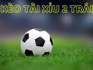 Cách Chơi Kèo Tài Xỉu Bóng Đá Chuẩn Xác Cho Người Mới Tham Gia Cá Cược