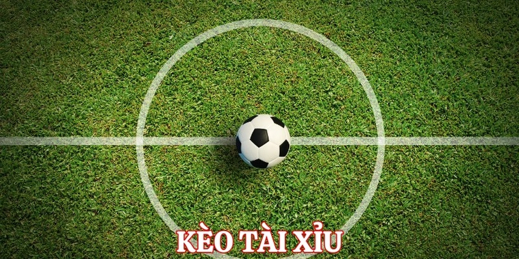 Cách Chơi Kèo Tài Xỉu Bóng Đá Chuẩn Xác Cho Người Mới Tham Gia Cá Cược